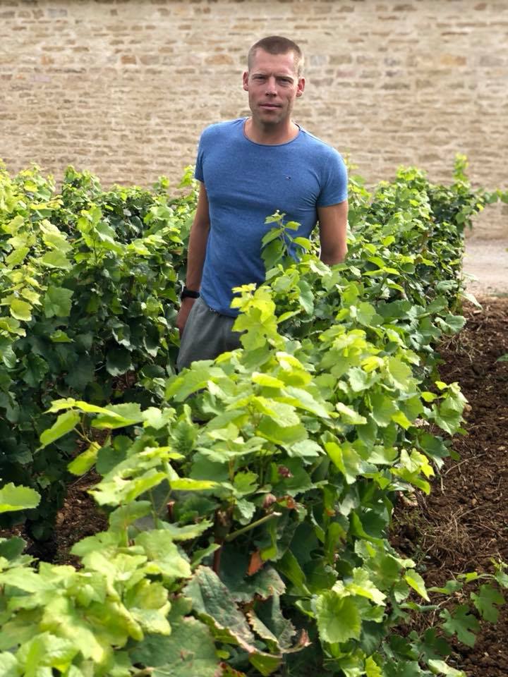 Paul Aegerter dans les vignes du domaine