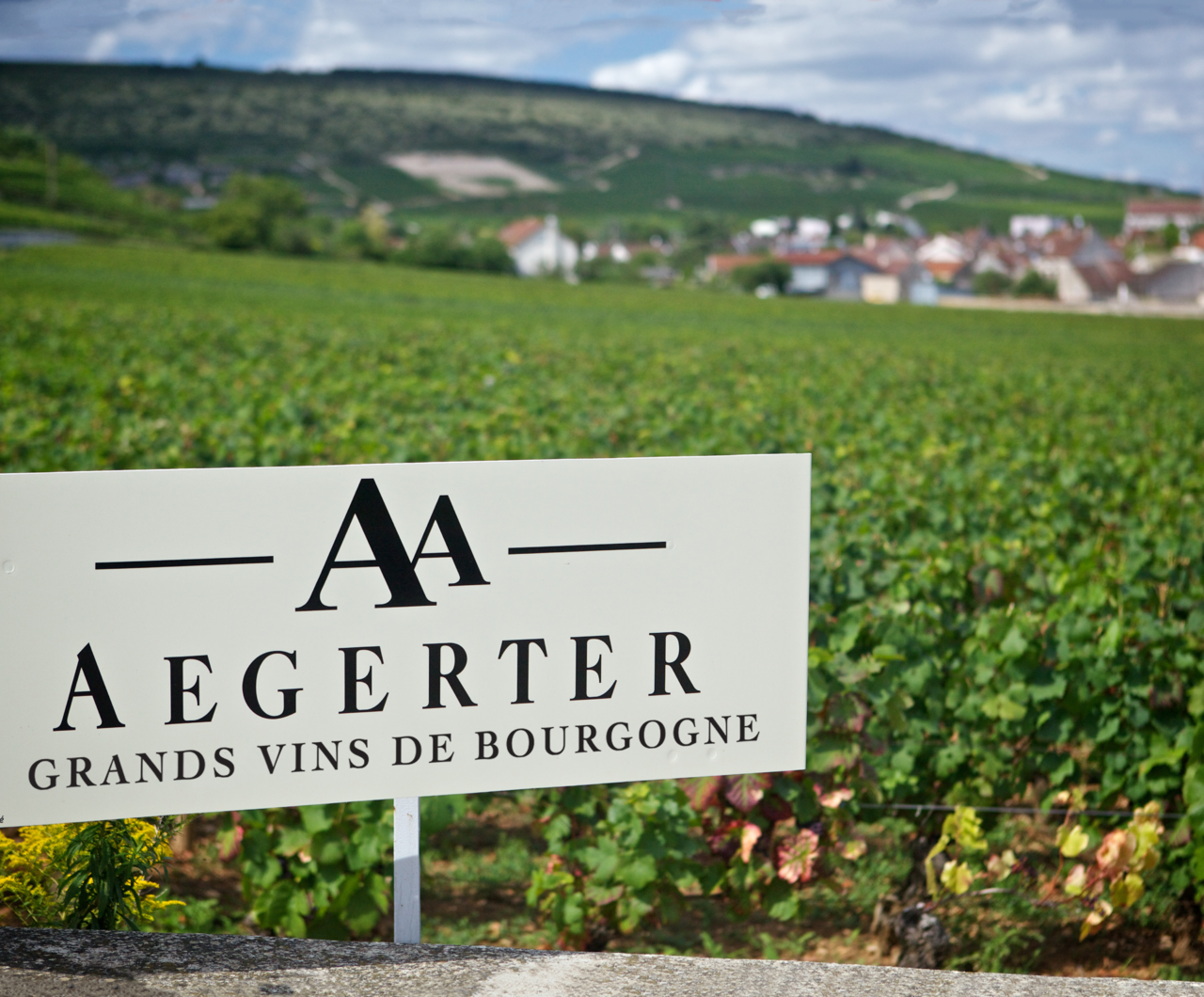 Aegerter Wine Domain & Production House