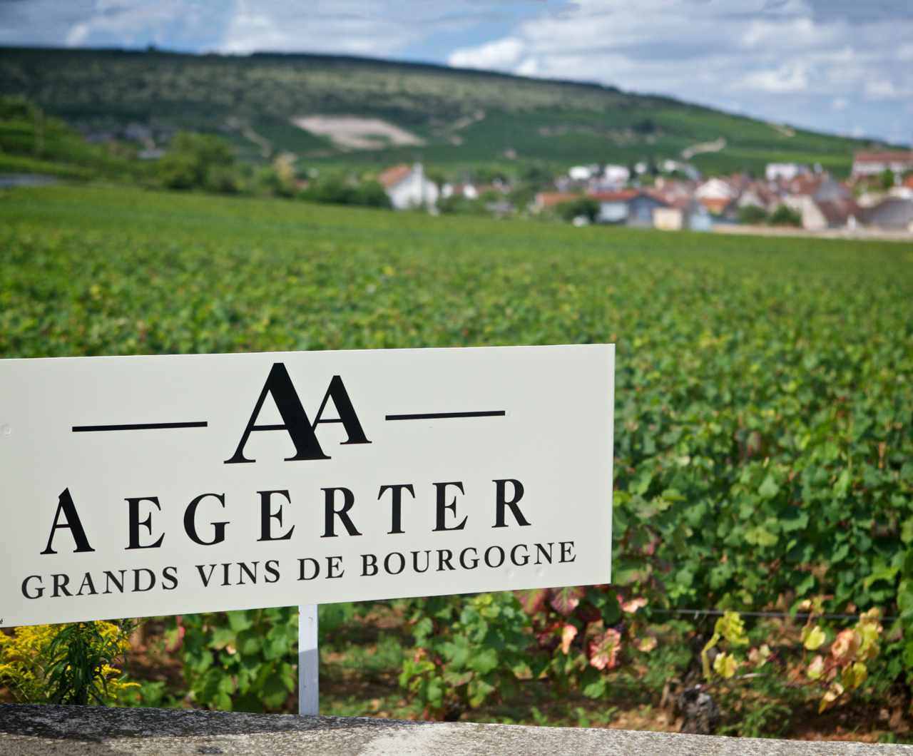 Domaine Aegerter